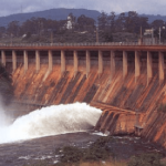 Gallery Thumbnail 10