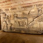 Gallery Thumbnail 12