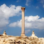 Gallery Thumbnail 11